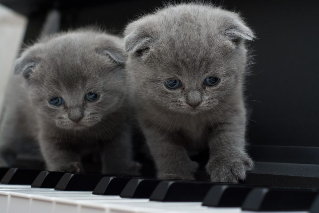 How Parents can Support and Encourage their Child’s Piano Lessons